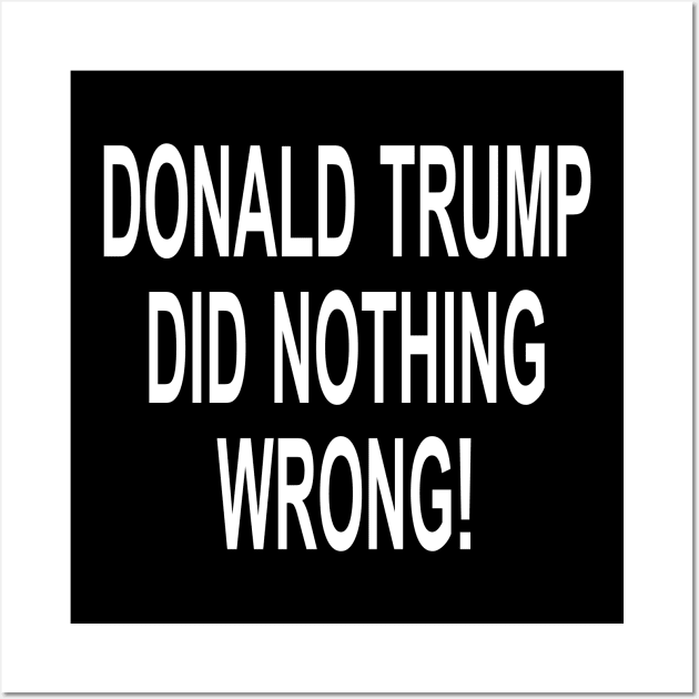 DONALD TRUMP DID NOTHING WRONG Wall Art by l designs